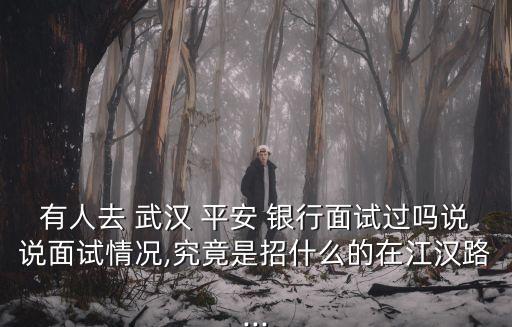 有人去 武漢 平安 銀行面試過嗎說說面試情況,究竟是招什么的在江漢路...