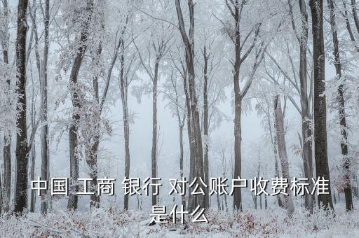 中國 工商 銀行 對公賬戶收費標準是什么