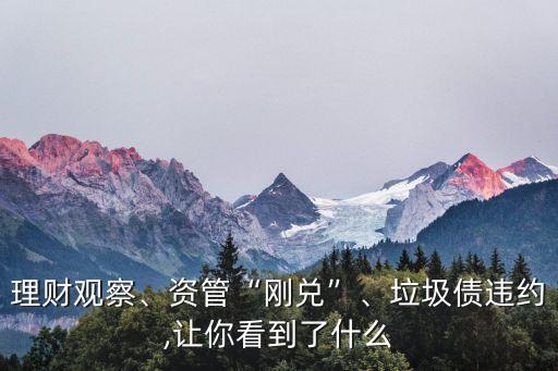 理財(cái)觀察、資管“剛兌”、垃圾債違約,讓你看到了什么