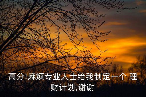 高分!麻煩專(zhuān)業(yè)人士給我制定一個(gè) 理財(cái)計(jì)劃,謝謝