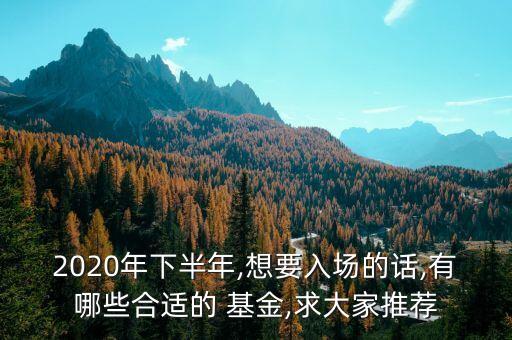 2020年下半年,想要入場(chǎng)的話,有哪些合適的 基金,求大家推薦