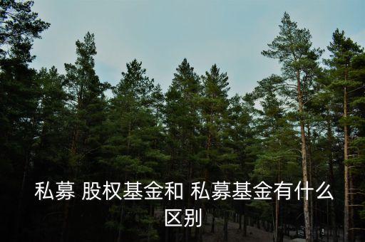 陽(yáng)光私募與股權(quán)投資,私募股權(quán)基金投資單一項(xiàng)目