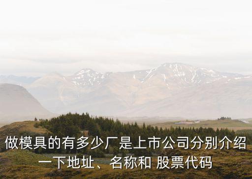 做模具的有多少廠是上市公司分別介紹一下地址、名稱和 股票代碼