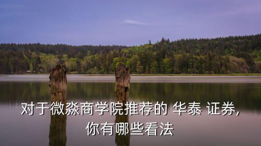 對(duì)于微淼商學(xué)院推薦的 華泰 證券,你有哪些看法