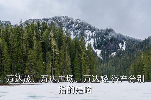 萬達(dá)茂、萬達(dá)廣場、萬達(dá)輕 資產(chǎn)分別指的是啥