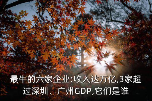 最牛的六家企業(yè):收入達(dá)萬(wàn)億,3家超過深圳、廣州GDP,它們是誰(shuí)