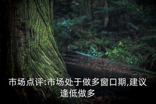 市場點(diǎn)評(píng):市場處于做多窗口期,建議逢低做多