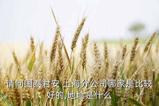 請(qǐng)問(wèn)國(guó)泰君安 上海分公司哪家是比較好的,地址是什么