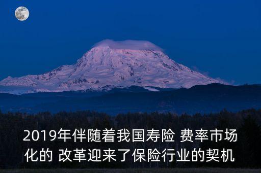2019年伴隨著我國壽險 費率市場化的 改革迎來了保險行業(yè)的契機