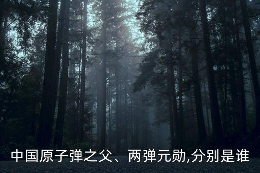 中國原子彈之父、兩彈元勛,分別是誰