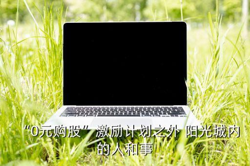 陽(yáng)光城股票簡(jiǎn)介