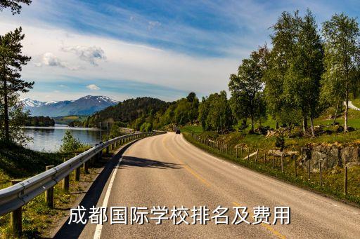 成實(shí)外教育有限公司