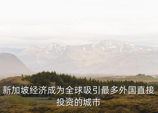 新加坡經(jīng)濟(jì)成為全球吸引最多外國(guó)直接投資的城市