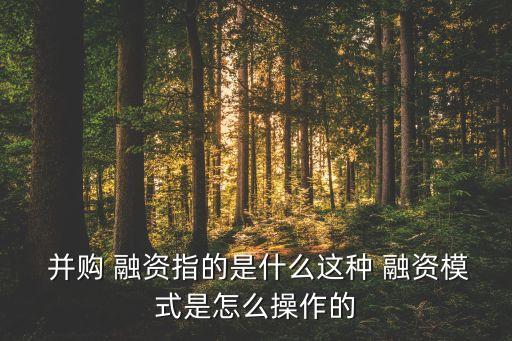  并購 融資指的是什么這種 融資模式是怎么操作的