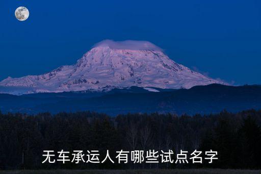無(wú)車承運(yùn)人有哪些試點(diǎn)名字