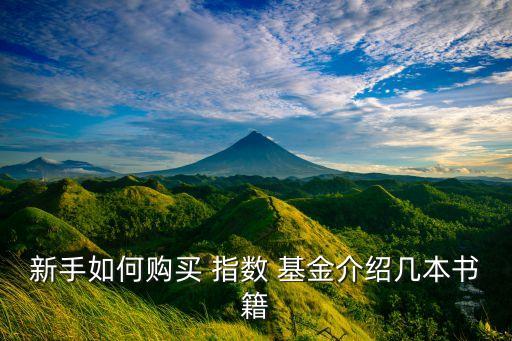 新手如何購(gòu)買(mǎi) 指數(shù) 基金介紹幾本書(shū)籍