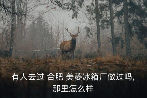有人去過 合肥 美菱冰箱廠做過嗎,那里怎么樣