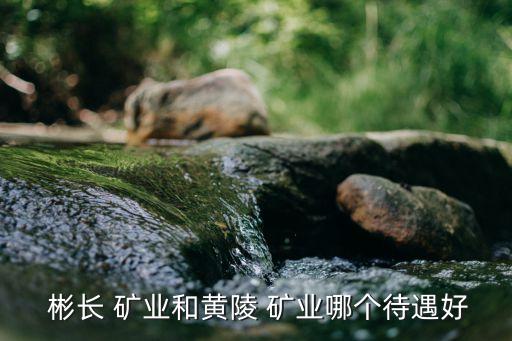 陜西彬長礦業(yè)集團有限公司煤化工公司,2、陜西彬長礦業(yè)集團有限公司