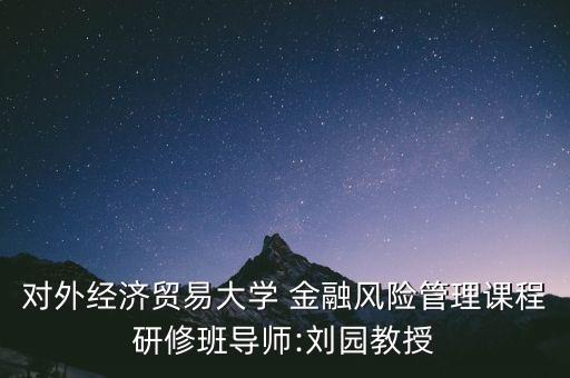 對外經濟貿易大學 金融風險管理課程研修班導師:劉園教授