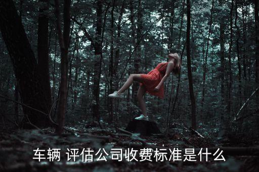 車(chē)輛 評(píng)估公司收費(fèi)標(biāo)準(zhǔn)是什么