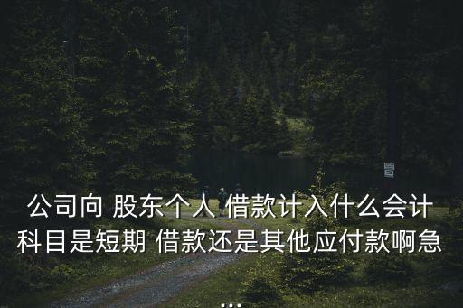 公司向 股東個(gè)人 借款計(jì)入什么會(huì)計(jì)科目是短期 借款還是其他應(yīng)付款啊急...