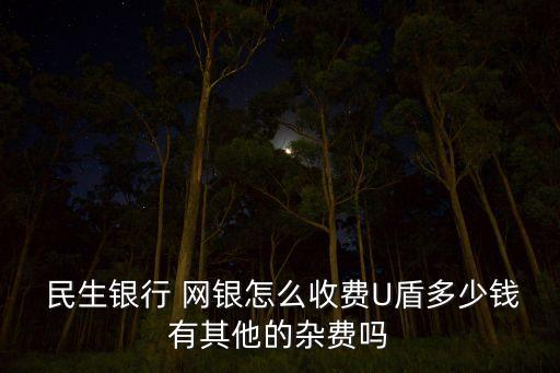  民生銀行 網(wǎng)銀怎么收費U盾多少錢有其他的雜費嗎