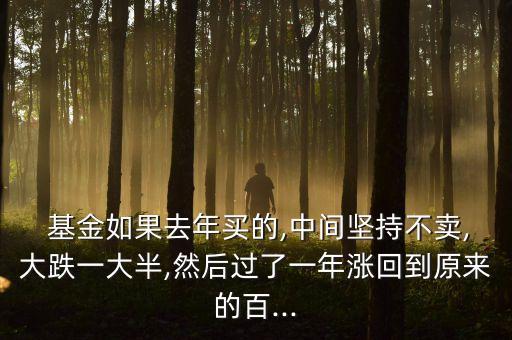  基金如果去年買(mǎi)的,中間堅(jiān)持不賣(mài),大跌一大半,然后過(guò)了一年漲回到原來(lái)的百...