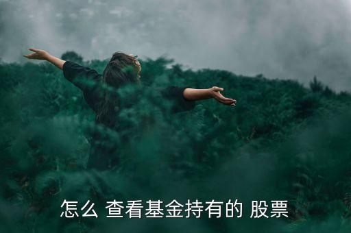 怎么 查看基金持有的 股票