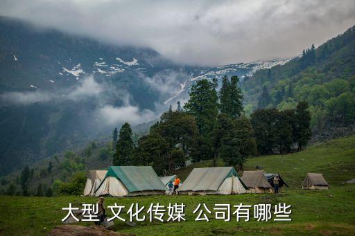 大型 文化傳媒 公司有哪些