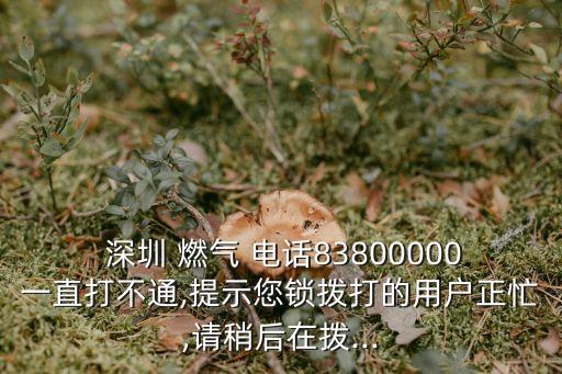 肥西深圳燃?xì)夤倦娫?huà)