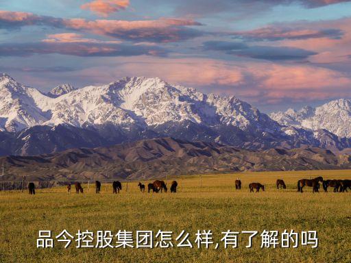  品今控股集團怎么樣,有了解的嗎