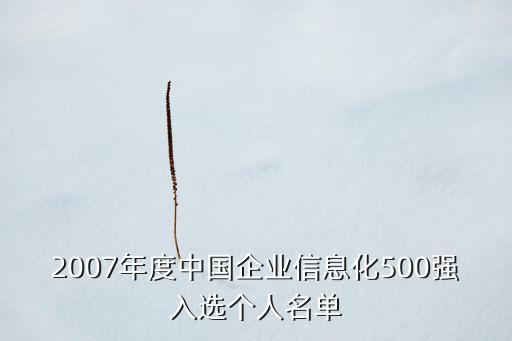 2007年度中國(guó)企業(yè)信息化500強(qiáng)入選個(gè)人名單