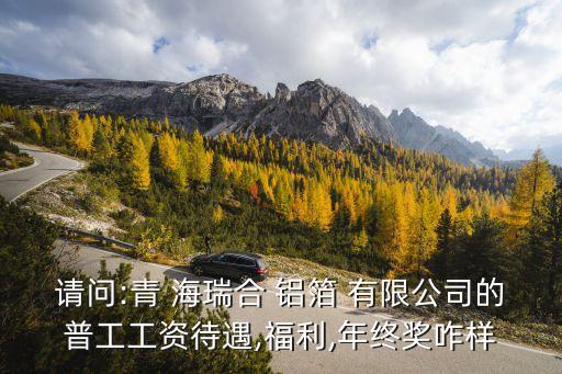 請(qǐng)問:青 海瑞合 鋁箔 有限公司的普工工資待遇,福利,年終獎(jiǎng)?wù)? class=