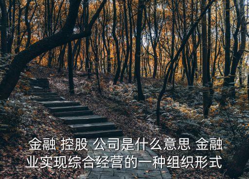  金融 控股 公司是什么意思 金融業(yè)實(shí)現(xiàn)綜合經(jīng)營(yíng)的一種組織形式