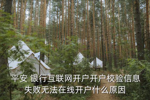  平安 銀行互聯(lián)網(wǎng)開戶開戶校驗(yàn)信息失敗無法在線開戶什么原因