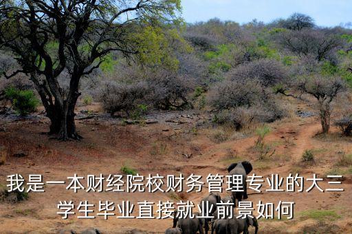 我是一本財(cái)經(jīng)院校財(cái)務(wù)管理專業(yè)的大三學(xué)生畢業(yè)直接就業(yè)前景如何