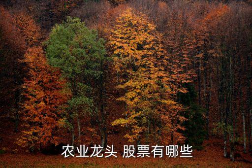 超大現代農業(yè)股票,香港超大現代農業(yè)集團公司