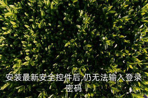 ie股票插件,ie瀏覽器flash插件
