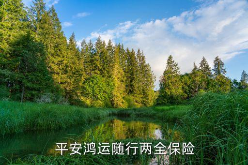  平安鴻運隨行兩全保險