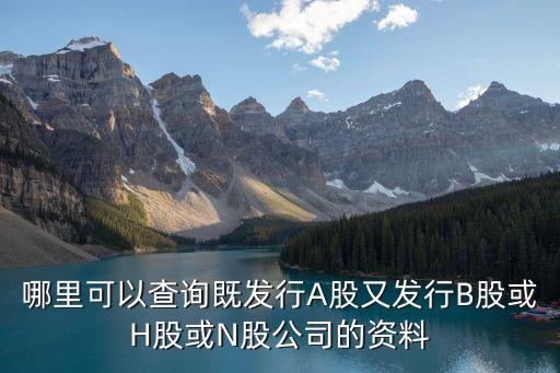 哪里可以查詢(xún)既發(fā)行A股又發(fā)行B股或H股或N股公司的資料