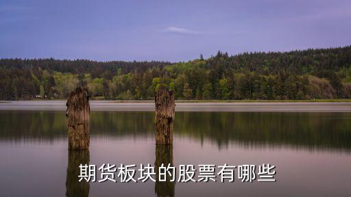 a股上市公司期貨,期貨的上市公司有哪些