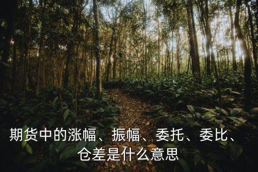 期貨中的漲幅、振幅、委托、委比、 倉差是什么意思