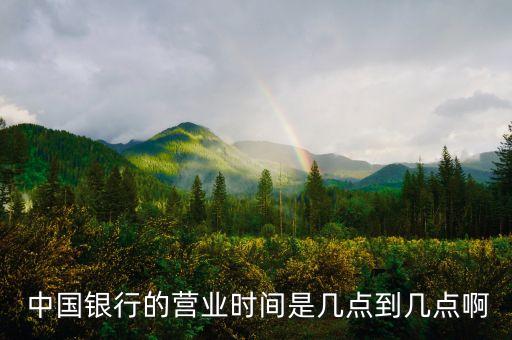  中國銀行的營業(yè)時間是幾點到幾點啊