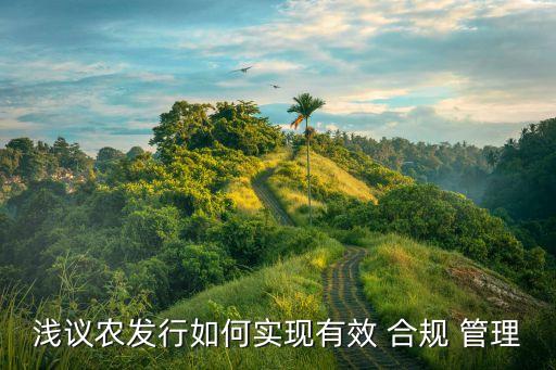 淺議農(nóng)發(fā)行如何實現(xiàn)有效 合規(guī) 管理