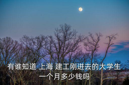 有誰知道 上海 建工剛進(jìn)去的大學(xué)生一個月多少錢嗎