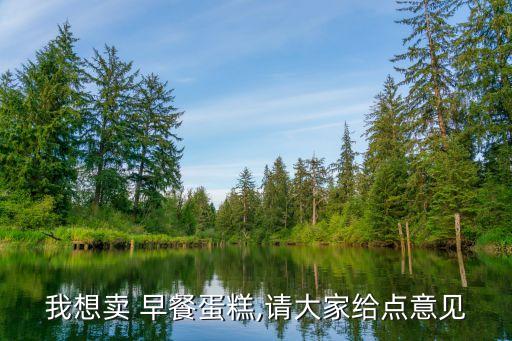 我想賣 早餐蛋糕,請大家給點(diǎn)意見