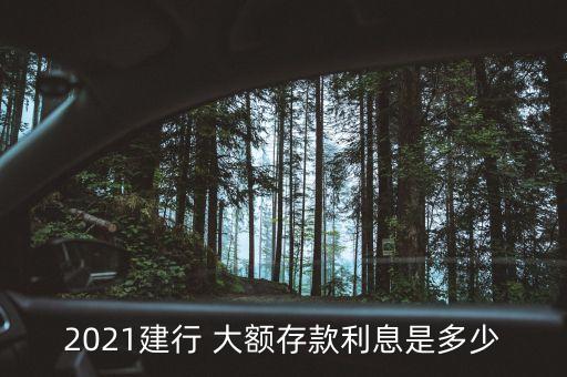 建設(shè)銀行大額存單起點(diǎn)金額