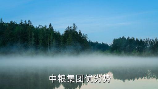 北京中糧地產好嗎,中糧地產(北京)有限公司