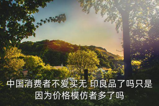 中國(guó)消費(fèi)者不愛買無 印良品了嗎只是因?yàn)閮r(jià)格模仿者多了嗎