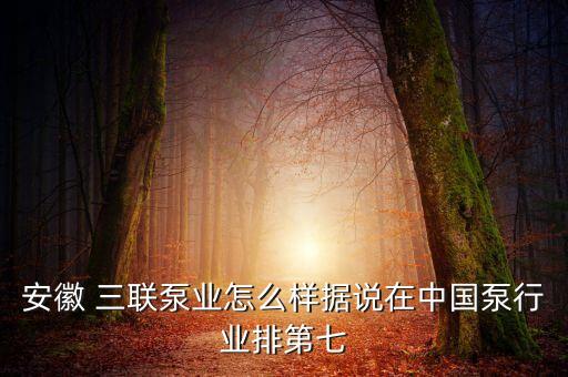 安徽 三聯(lián)泵業(yè)怎么樣據(jù)說在中國泵行業(yè)排第七